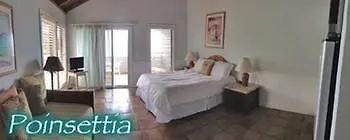 ホテル Coconut Coast Villas Contant